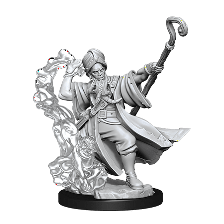 D&D Frameworks W01 Human Wizard Male