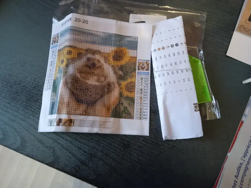 Diamond Painting, 20x20cm - Hedgehog