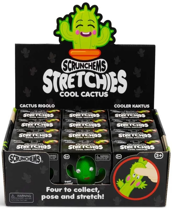 Scrunchem Stretchies Cool Cactus Assorted