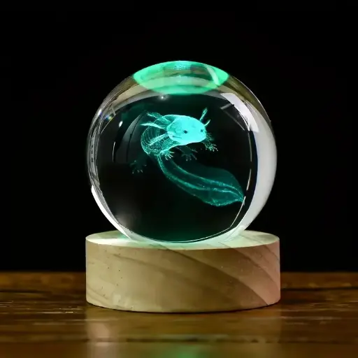 Axolotl Crystal Ball