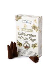37421 Stamford Backflow Incense Cones Californian White Sage 