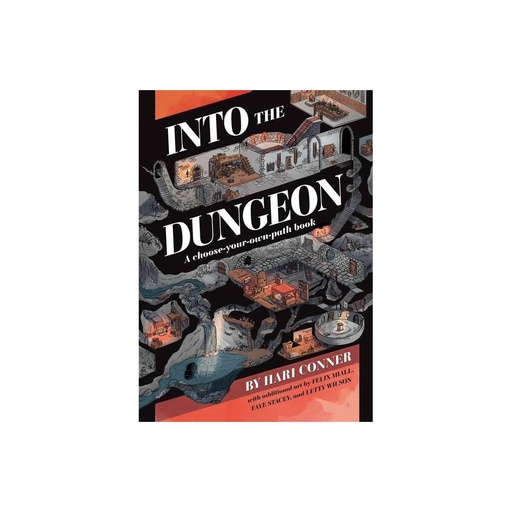 Into the Dungeon: A Choose-Your-Own-Path Book (paperback)