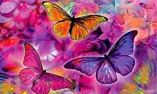 Diamond Painting -Canvas 30x20cm - Painting 25x15cm Butterflies